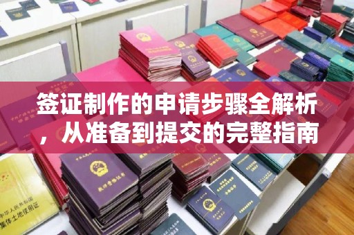 昭通签证制作的申请步骤全解析，从准备到提交的完整指南