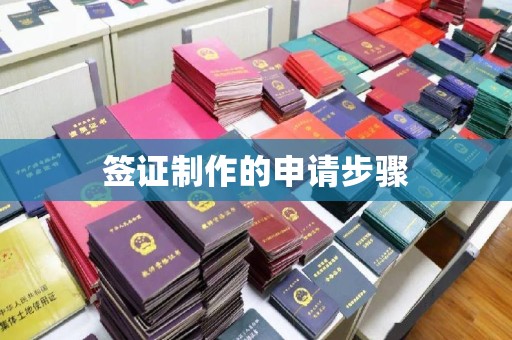 昭通签证制作的申请步骤