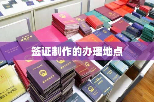 昭通签证制作的办理地点